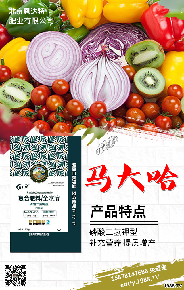 �����߲�ʩ���д�����Щ���}�������߲˷Nֲ���g(sh��)