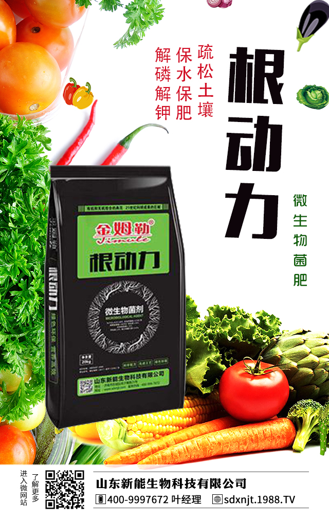 馬鈴薯需肥量大,如何給馬鈴薯施肥?