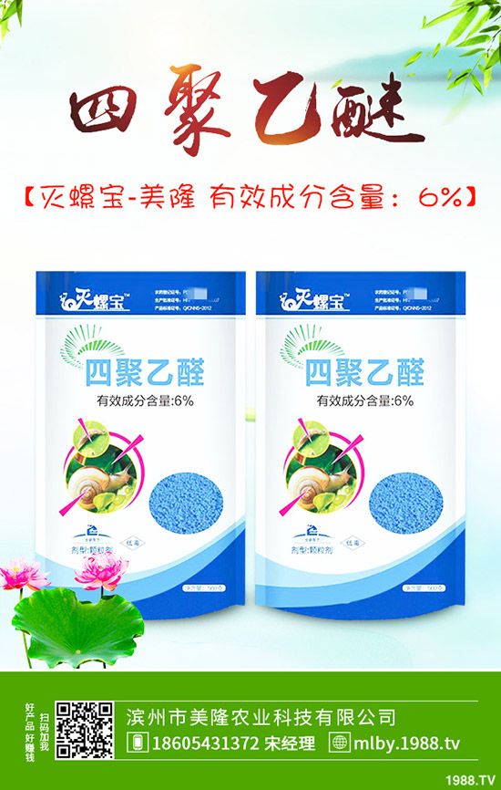 茄子該不該摘葉,茄子摘葉如何操作?