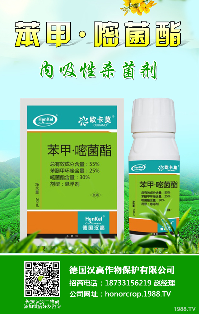 ������������ô�k���P(gu��n)���������������δ�ʩ