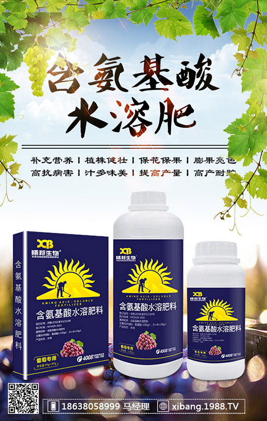 櫻桃蘿卜什么時候種植？櫻桃蘿卜是否需要澆水