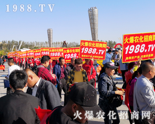 ���r(n��ng)�����̾W(w��ng)ʢ�b����2019��ʮ�����L��ֲ������