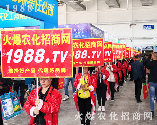 2019�L��ֲ���������r(n��ng)���W(w��ng)�����ƏV�ݲ��ɓ���