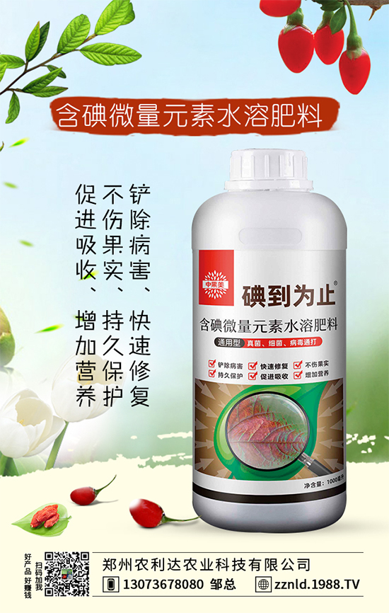 茭白高產方案,認準茭白的科學施肥方法