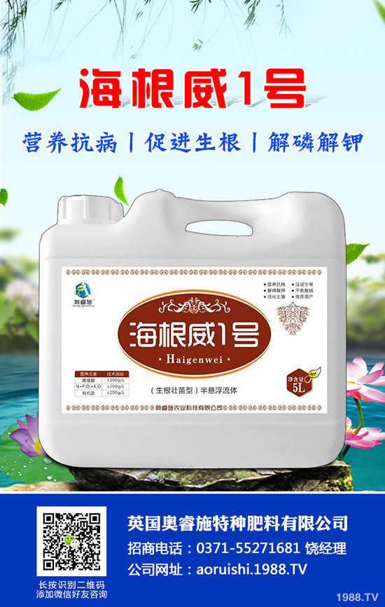 如何種植羊角蜜才能高產?羊角蜜種植時間和種植方法