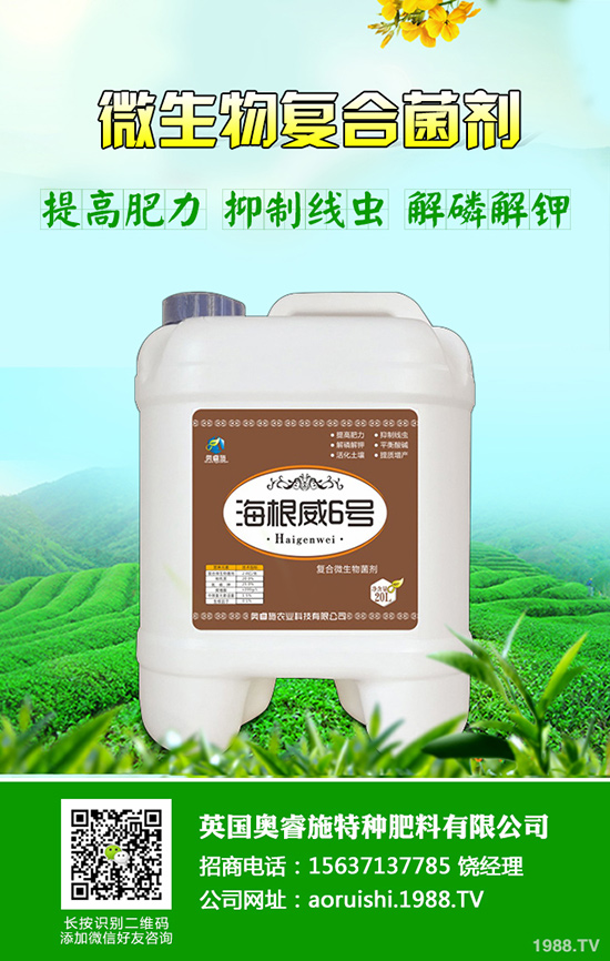 柚子種植技術(shù)！柚子栽種要注意些什么？