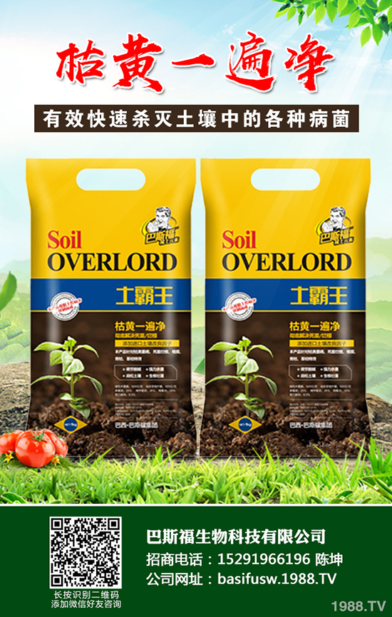 ���Sԓ��ηNֲ�����S�ĸ�Ч���༼�g����Щ��