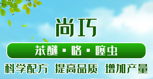 22%���ѡ��������x-����-���˸�_01