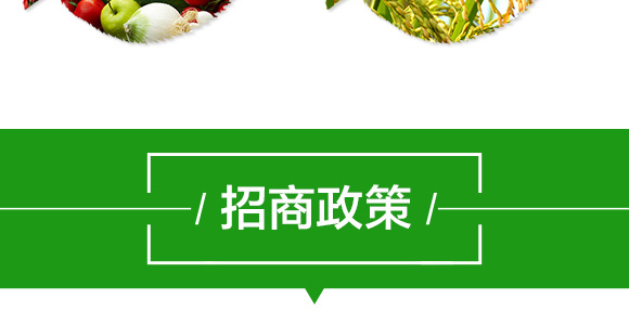 22%���ѡ��������x-����-���˸�_08