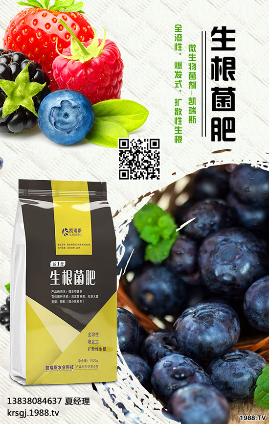 黃秋葵營(yíng)養(yǎng)價(jià)值，黃秋葵露地種植方法