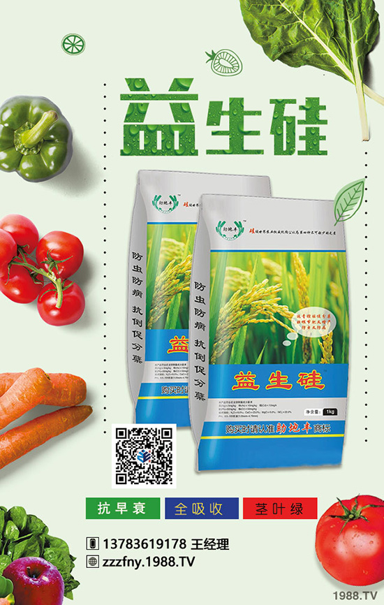 春季種好菠菜施肥與技巧不可缺少！