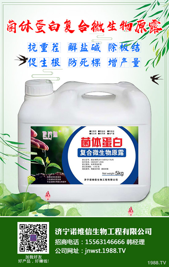 大豆施用硼肥有哪些好處？大豆施用硼肥的技術(shù)！