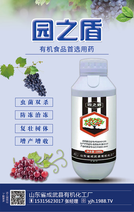 甘蔗需肥特性，甘蔗施肥技術(shù)和要點(diǎn)！