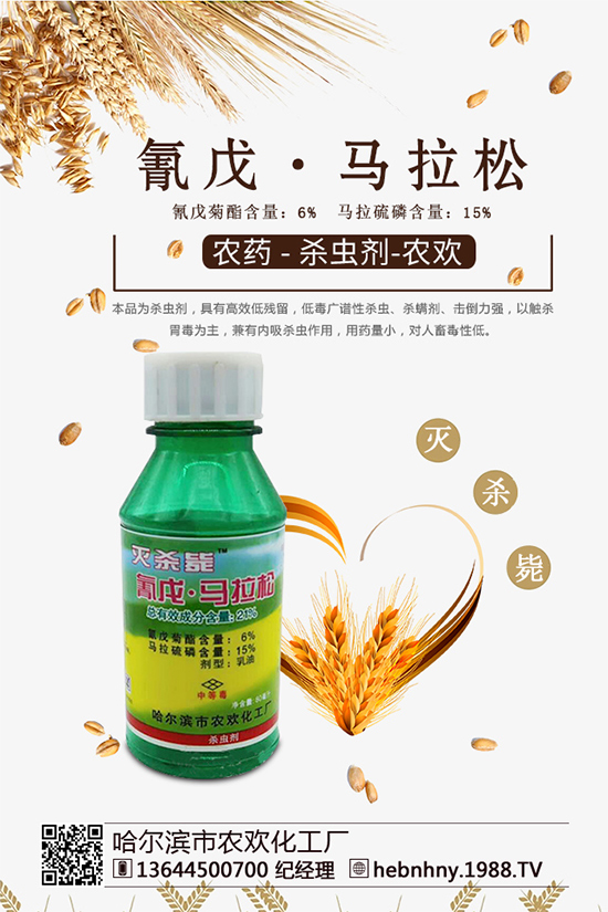 �x���߷��ڡ������xຸ�Ч���x�����Դ������