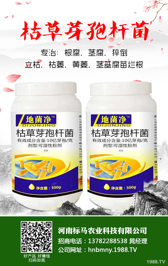 苦瓜怎么施肥，苦瓜施肥要點(diǎn)有哪些？