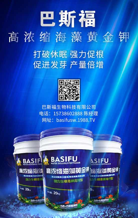 玉米施肥的更佳時間是啥時候？ 咋樣施效果好？