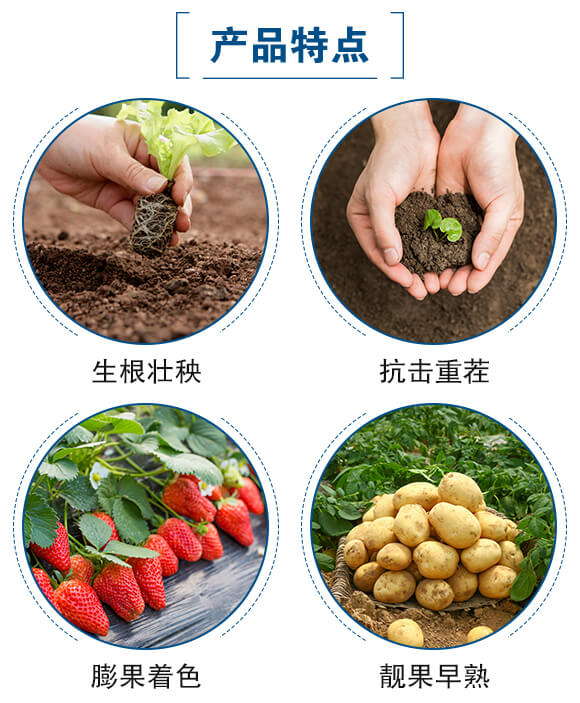 ��ľ����-(li��n)��μ�_04