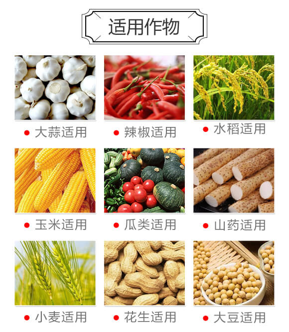 �����S�߮a(ch��n)�ײ�-�Խ_06