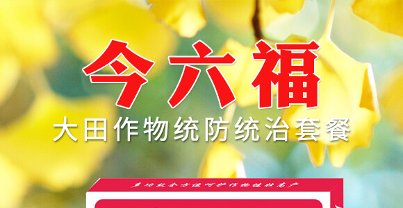 ��������y(t��ng)���y(t��ng)���ײ�-������-�滯���h(yu��n)_01