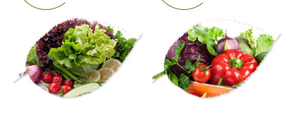 ��ˎ�ĠI�B(y��ng)���a(b��)-����ֲ��ˮ�ܷ�-�����r(n��ng)��_07