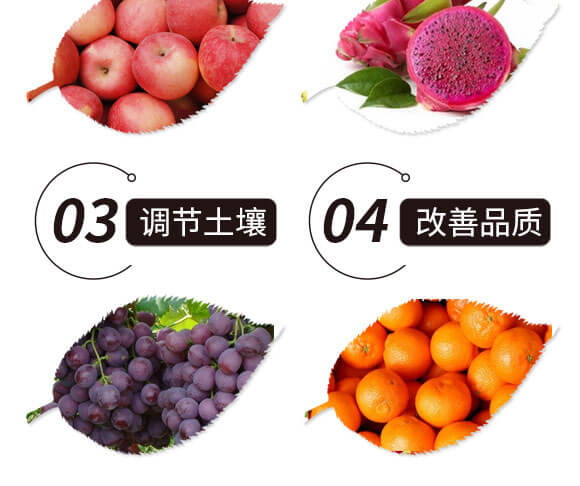 ��⛶���-һ����-�̩_05