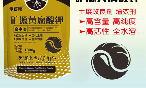 �VԴ�S�����-������-����2