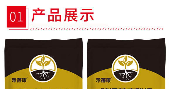 �VԴ�S�����-������-����3