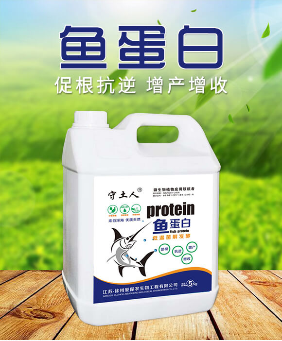 �~(y��)����-������-��(��i)���r(n��ng)_01