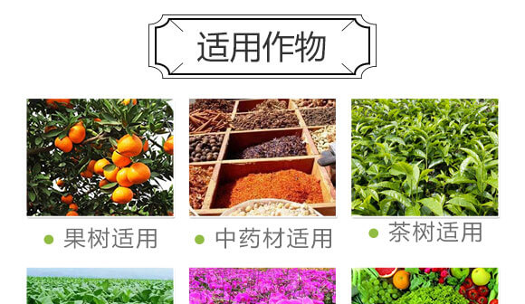 ���ӹ���̿��ø-������-��(gu��)�S���@_08