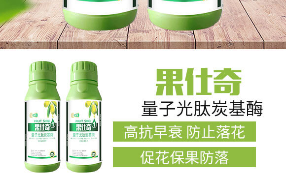 ���ӹ���̿��ø-������-��(gu��)�S���@_03