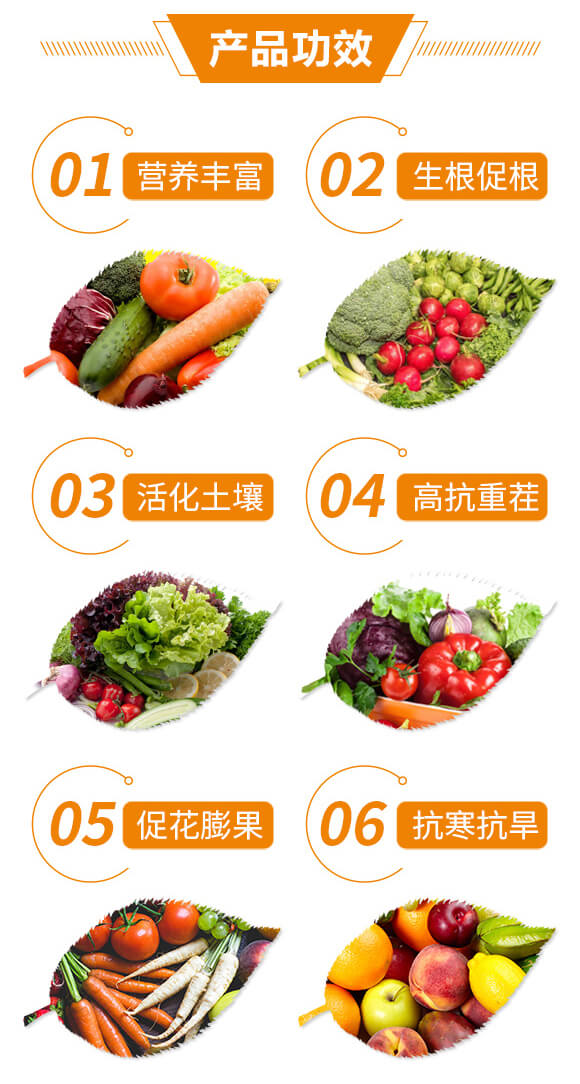 ��ֳ�ᵪ���ʮ��Ԫ�أ�40������-�𿵉�-�G���_03