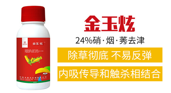 24%��������ݬȥ��-������-�S�՘�_02