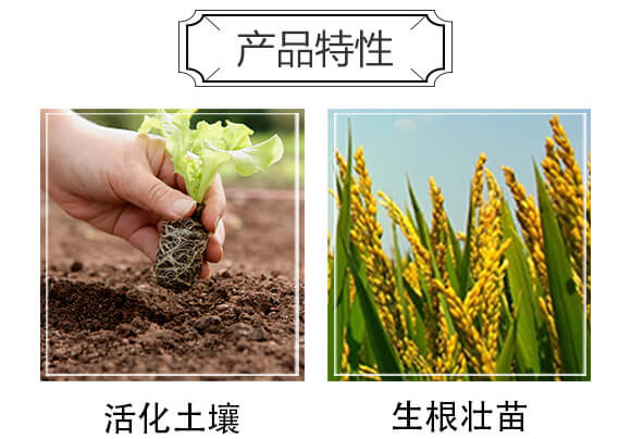 ���ɺ��塤�ЙC(j��)����-ِ����_(k��i)04