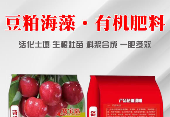 ���ɺ��塤�ЙC(j��)����-ِ����_(k��i)01