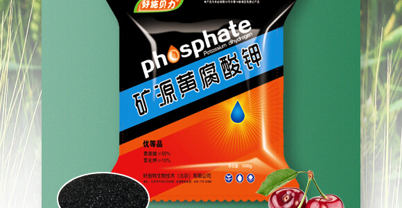 �VԴ�S�����-��ʩؐ��-��ʩ��_02