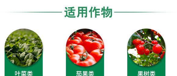 �VԴ�S�����-��ʩؐ��-��ʩ��_07