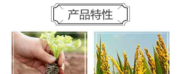 果維康有機無機生態(tài)肥(果蔬專用)-中港美盛_04