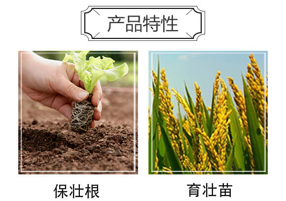 50L������|-�֠���(y��u)_04