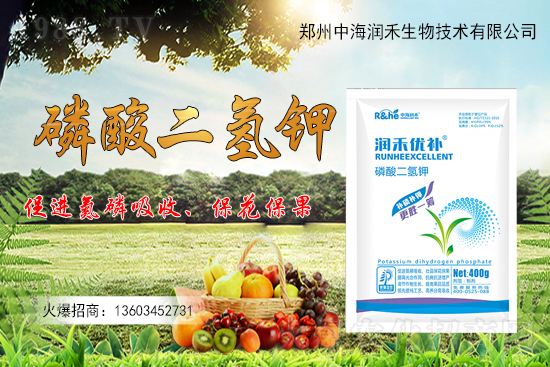 ����һ���굽��ԓ��ôʩ��������ʩ��ע�����(xi��ng)����Щ��