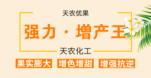 ��(qi��ng)����������-���r(n��ng)����(y��u)ؐ-���r(n��ng)����_01