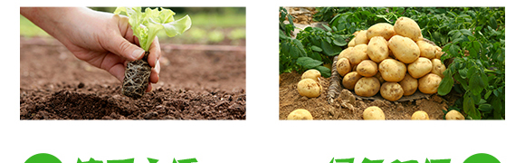 �����E�R��(zhu��n)�Ú��x(ch��ng)��-����(zh��n)-(li��n)���r(n��ng)�I(y��)_05