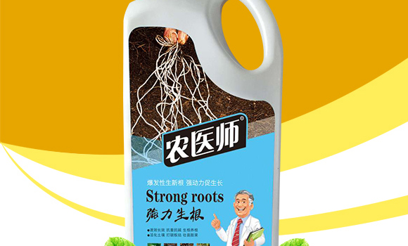 ��������-�r�t(y��)��-�_��ţ_02