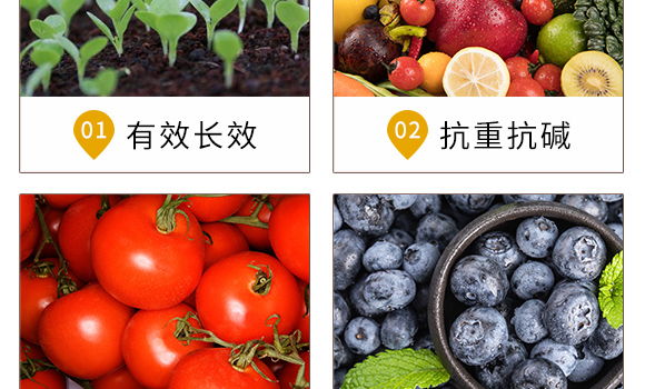 ��������-�r�t(y��)��-�_��ţ_05