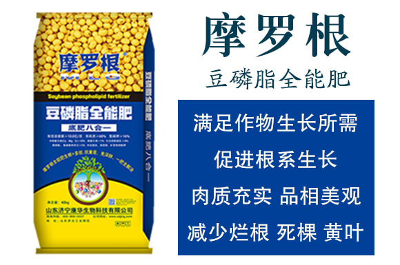 ����֬ȫ�ܷ�-Ħ�_��-���A����_02