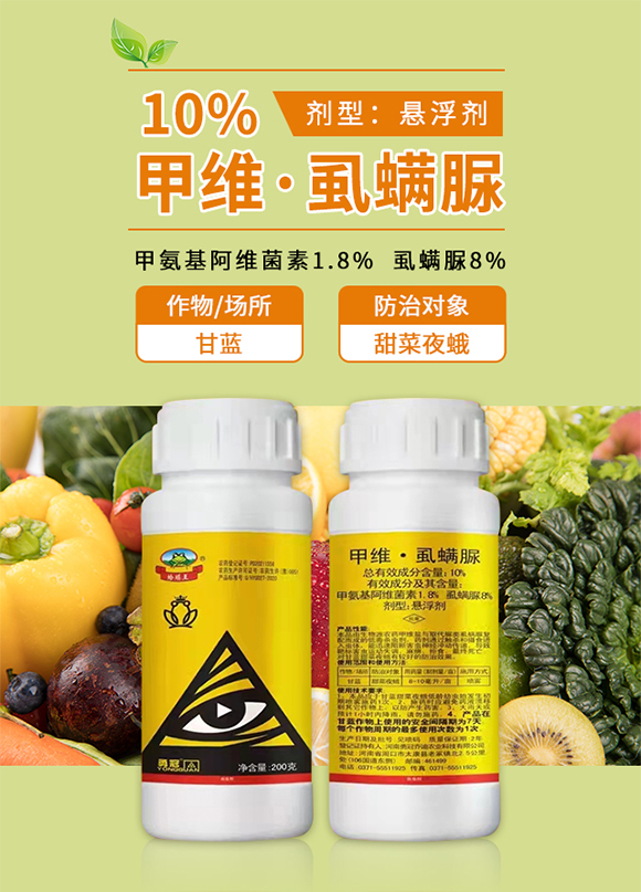 �¹چ̵�-10%�׾S��ʭ����_01