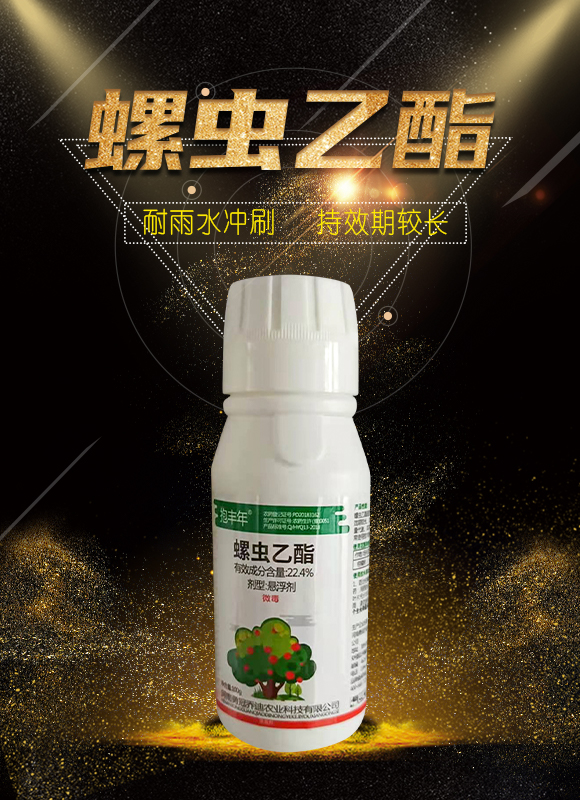 �aƷ��Ӯ���