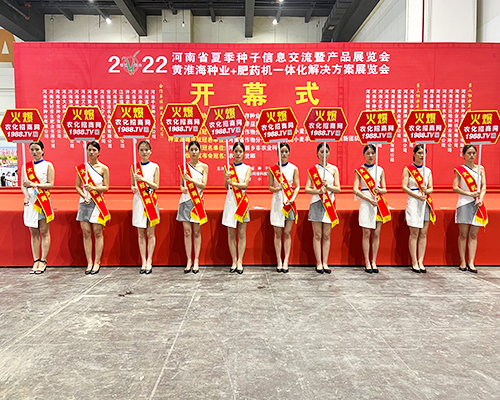 �����]�����Ĵ������������L�ɱM�@��