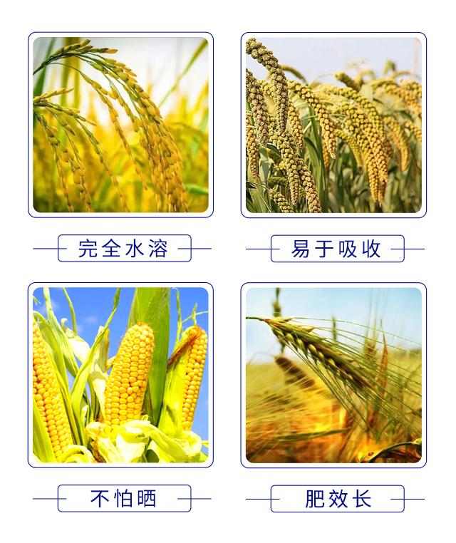 微生物菌劑-大化肥業(yè)_05