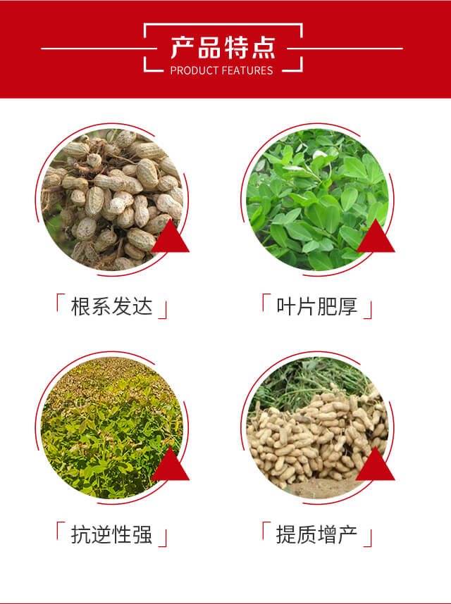 ������N���b-�@������-(li��n)���r(n��ng)�I(y��)_03