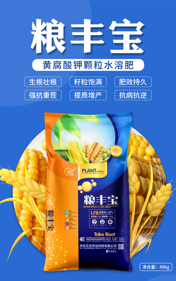 �ӱ������r(n��ng)�I(y��)�Ƽ����޹�˾-�Z�S��_01